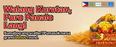 VIP Rewards Exclusive